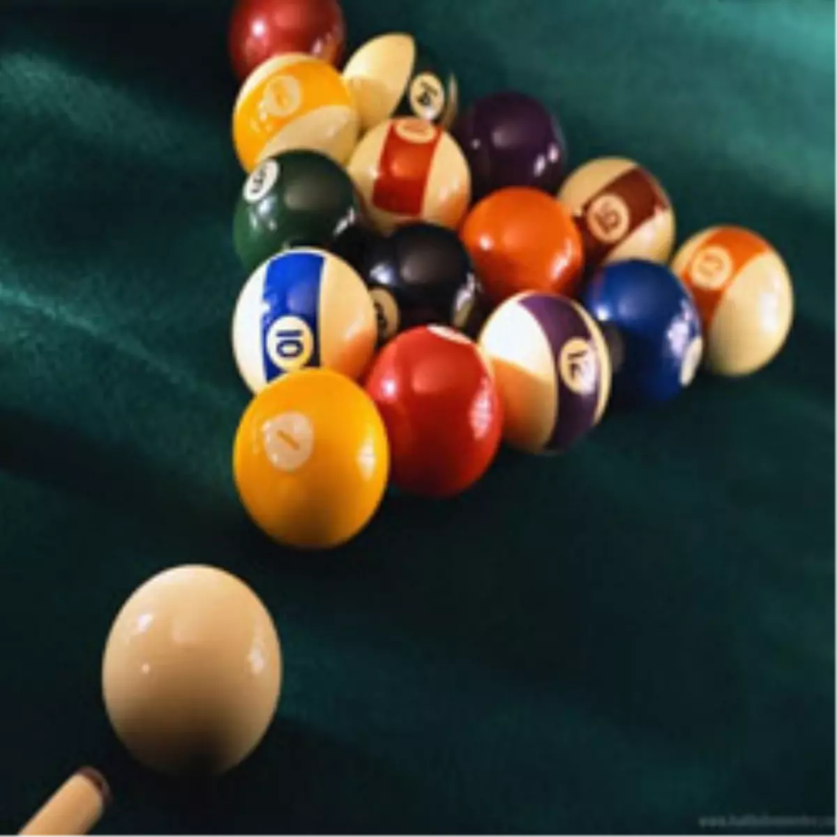 Şampiyonlar Yurda Döndü