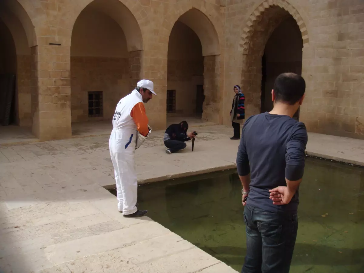 Sivrisinek Larva Mücadelesi Yapıldı
