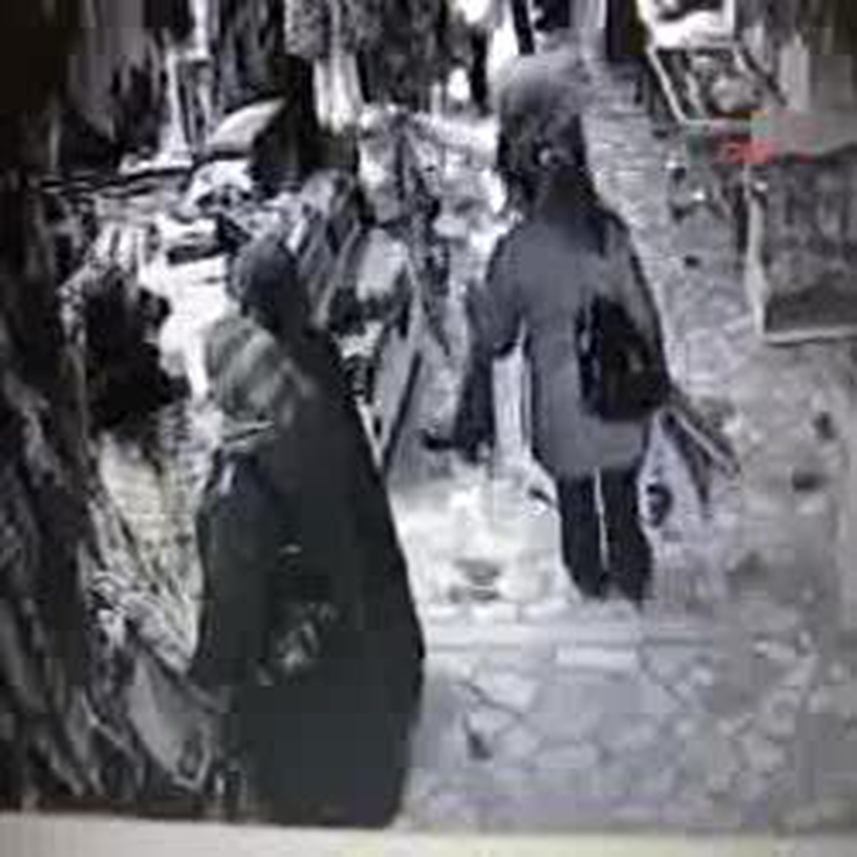 "Hanım Nine"