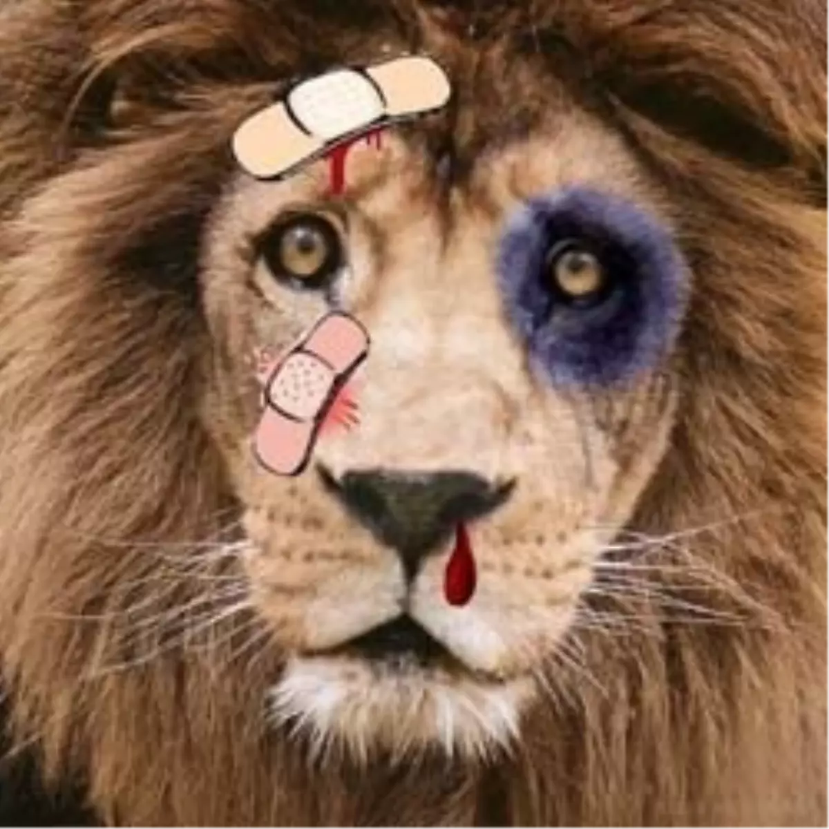 Galatasaray\'ı Bu Hale Kim Getirdi?