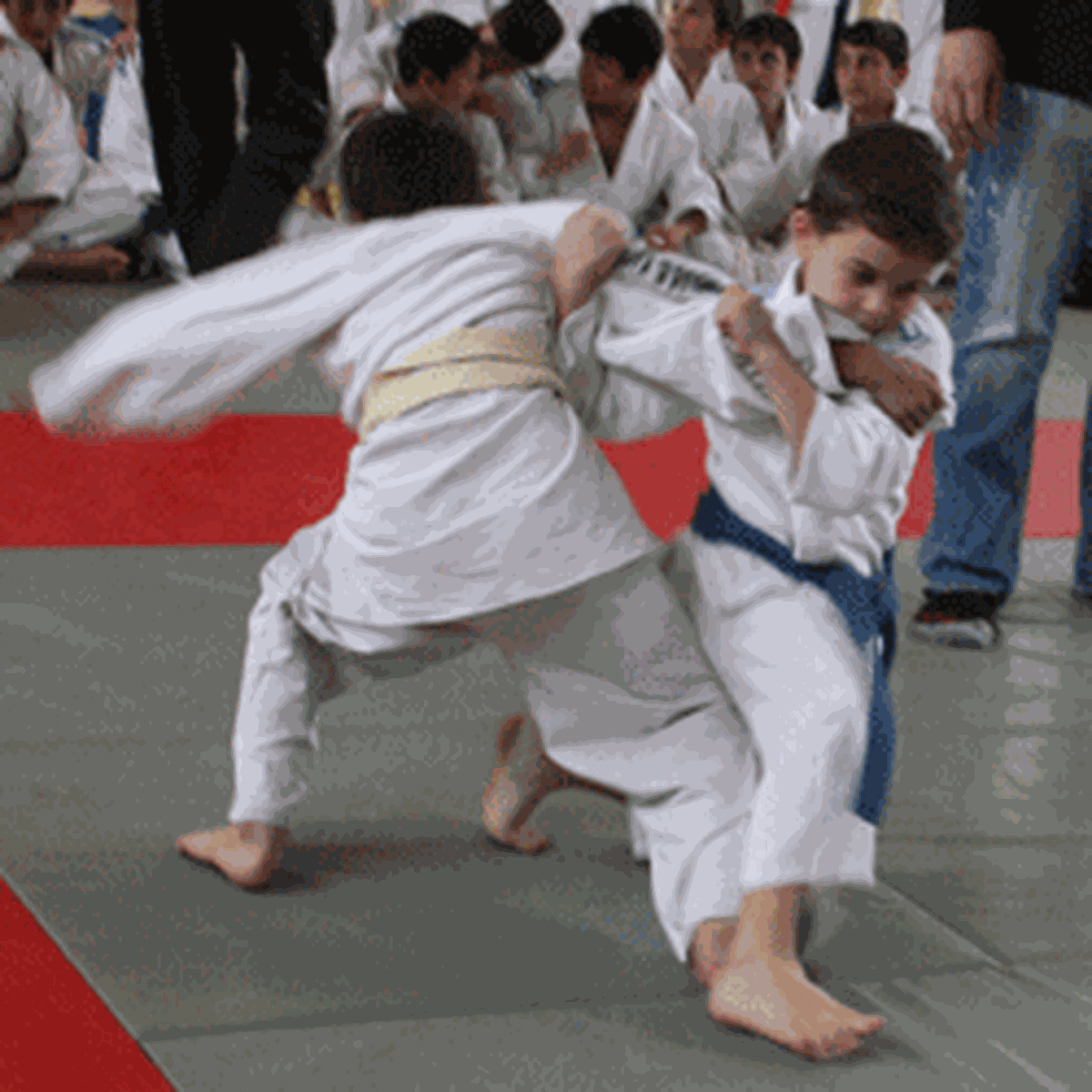 

Büyükşehir Judo Şenliği Başladı