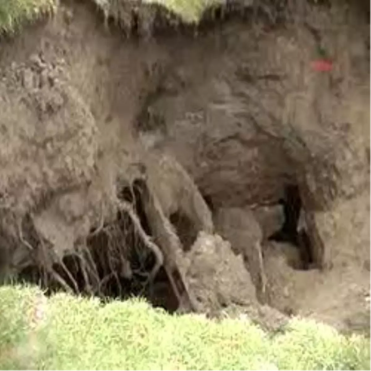 Komşuların Haber Vermesi Üzerine Sokağa Çıkan