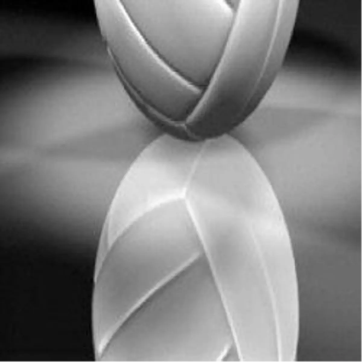 Aroma Bayanlar Voleybol