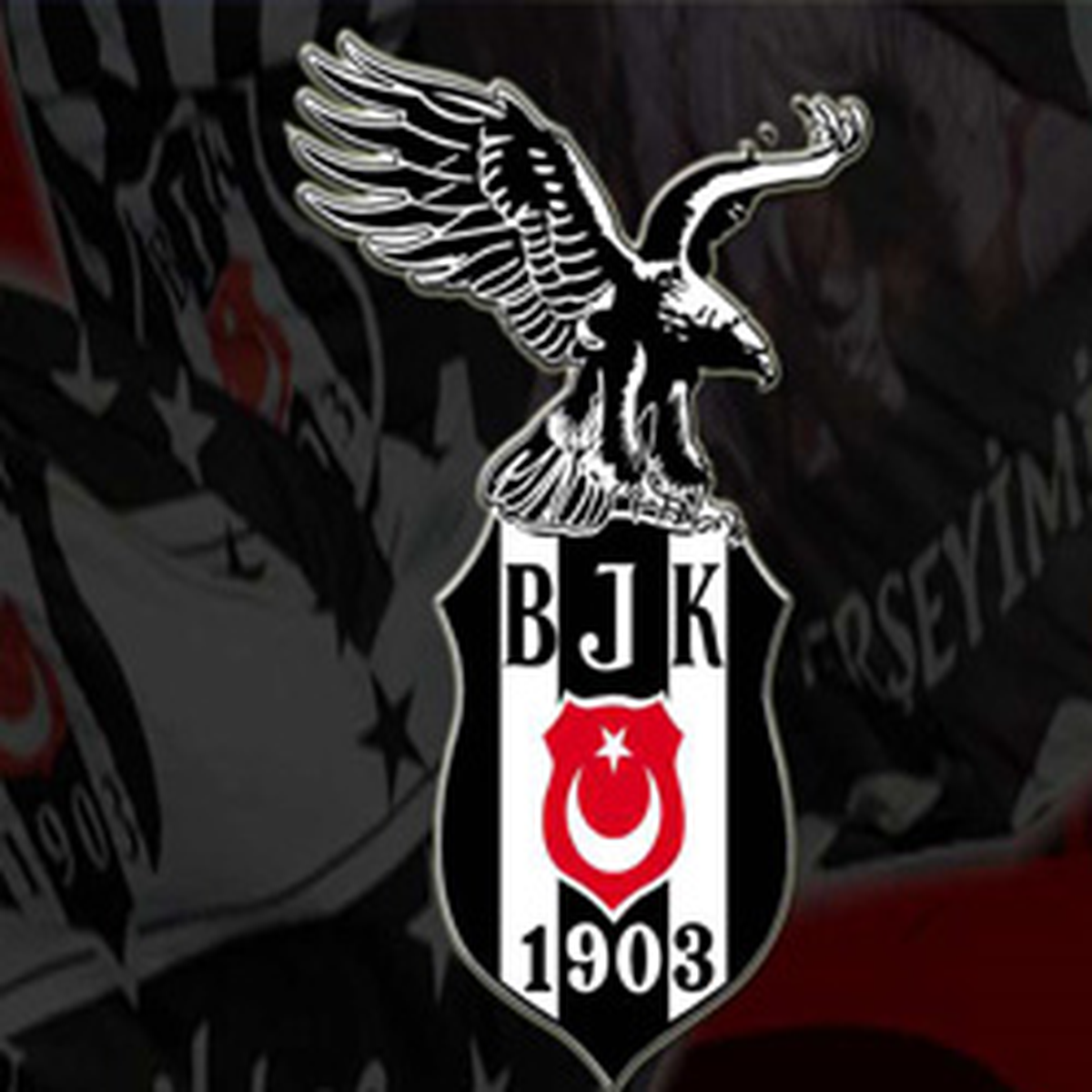 Beşiktaş Yarım Dalya Diyecek.