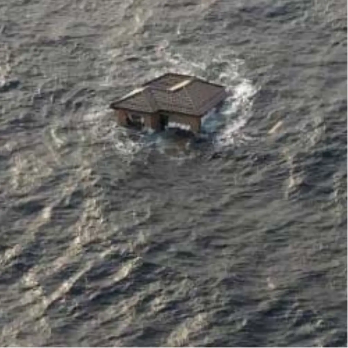 Denize Sürüklenen Evler ABD Yolunda