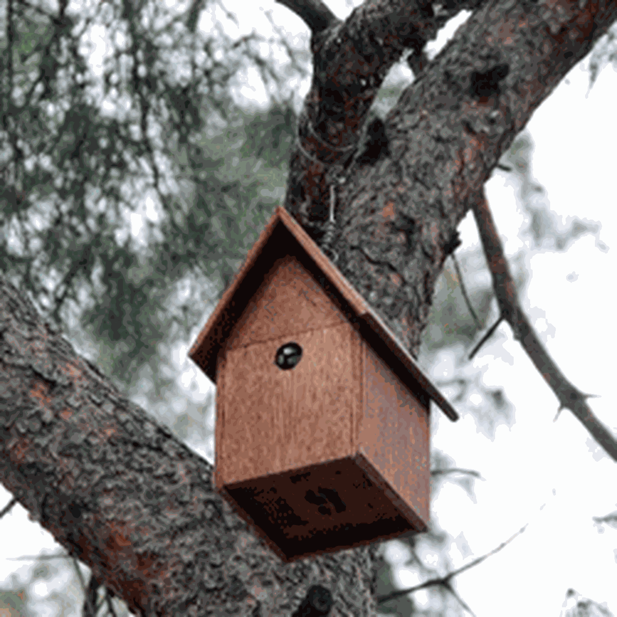 Organik 'Toplu Konut' Projesi

