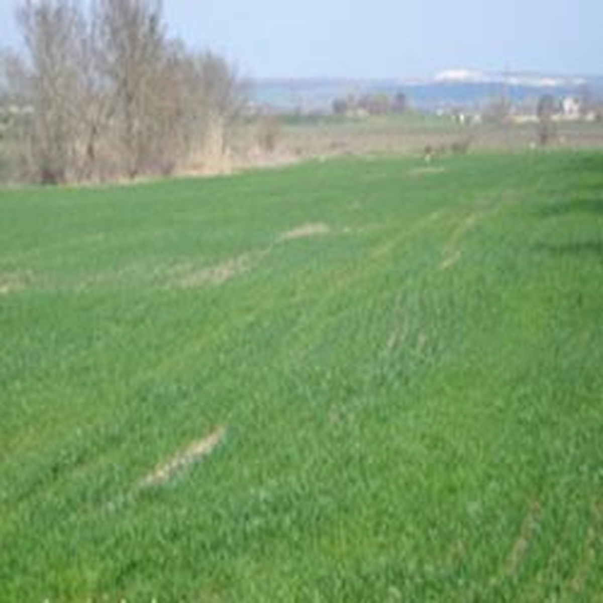 Ankara Defterdarlığı'ndan İki Arsa Satışı