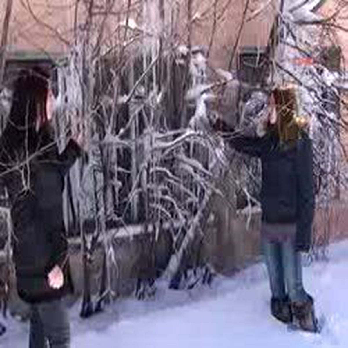 Erzurum 2 Doğu Baharda Dondu
