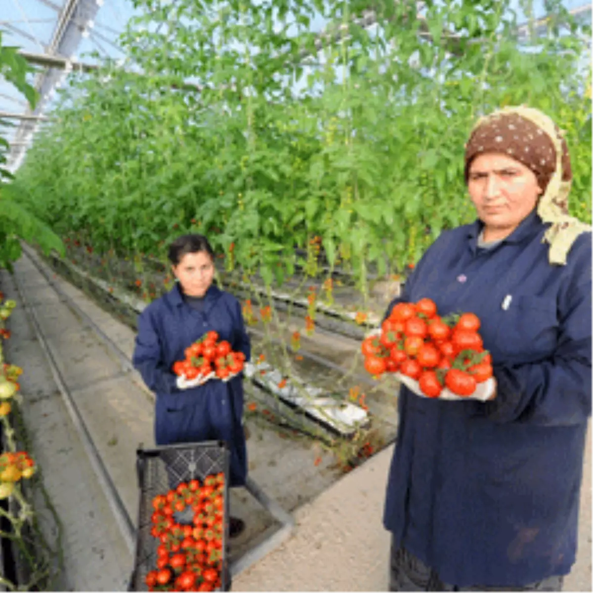 Mamak Çöplüğü\'nün Marifeti Bitmek Bilmiyor

