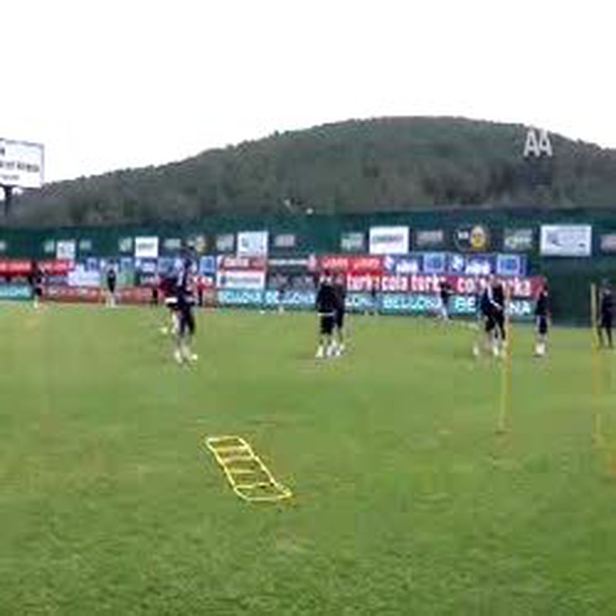 Kartal Seri Peşinde