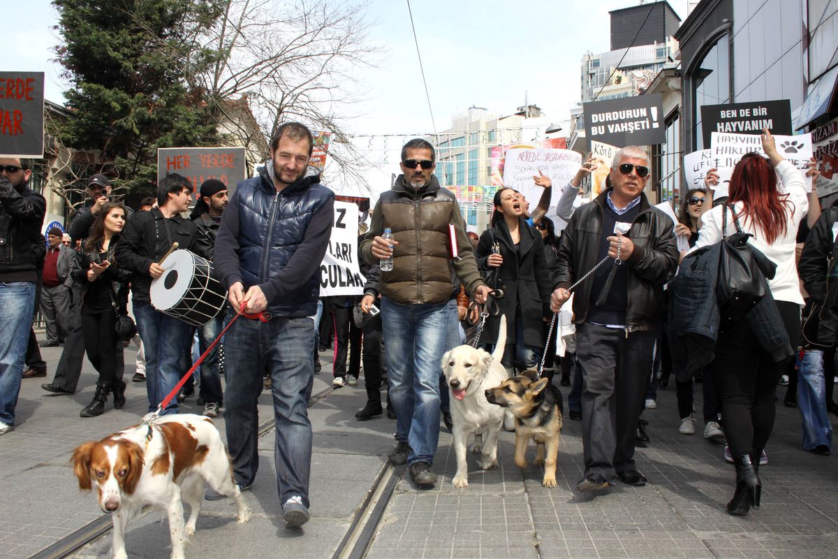 'Dikkat İnsan Var'
