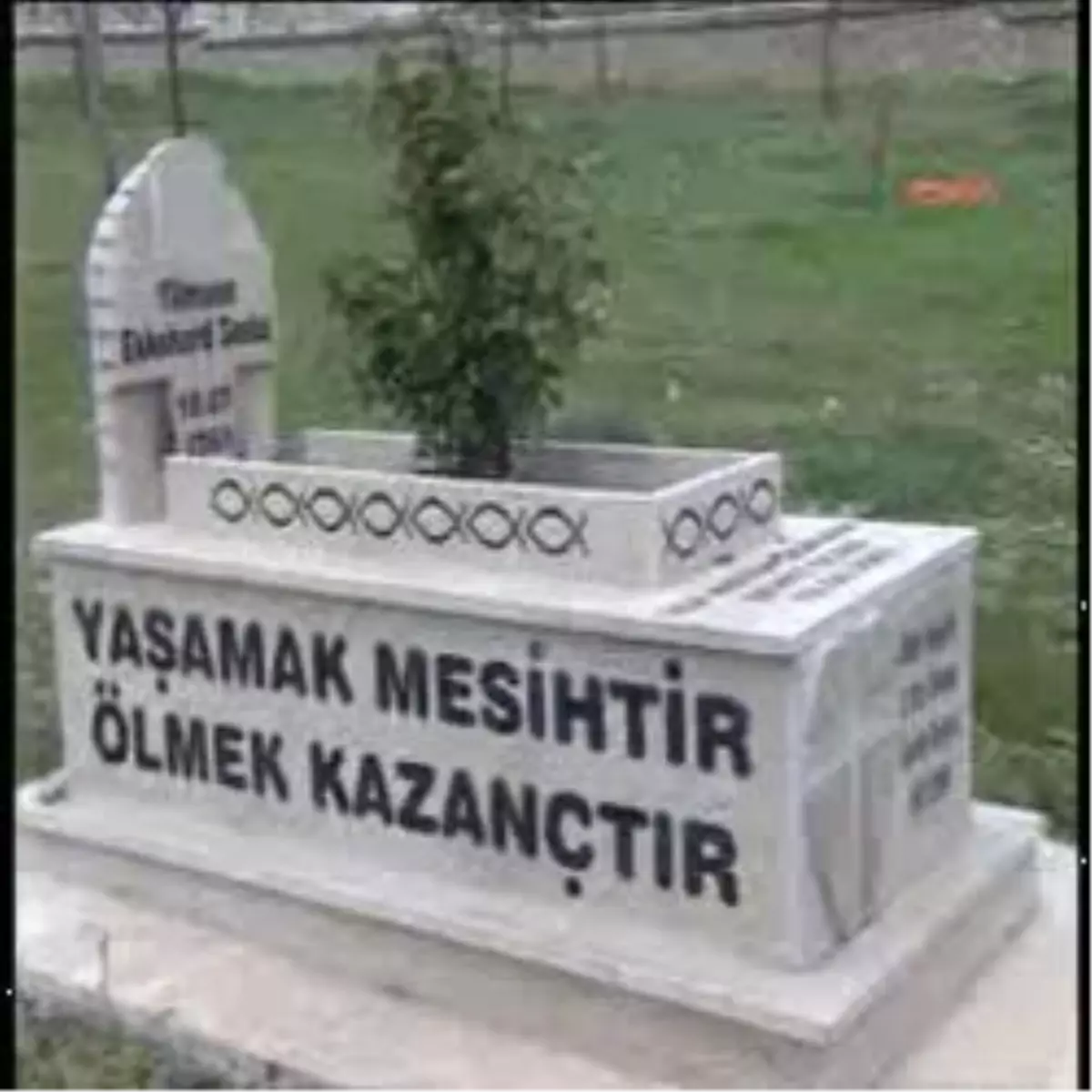 Zirve Yayınevi\'nde Öldürülen Tilman Geske Anıldı