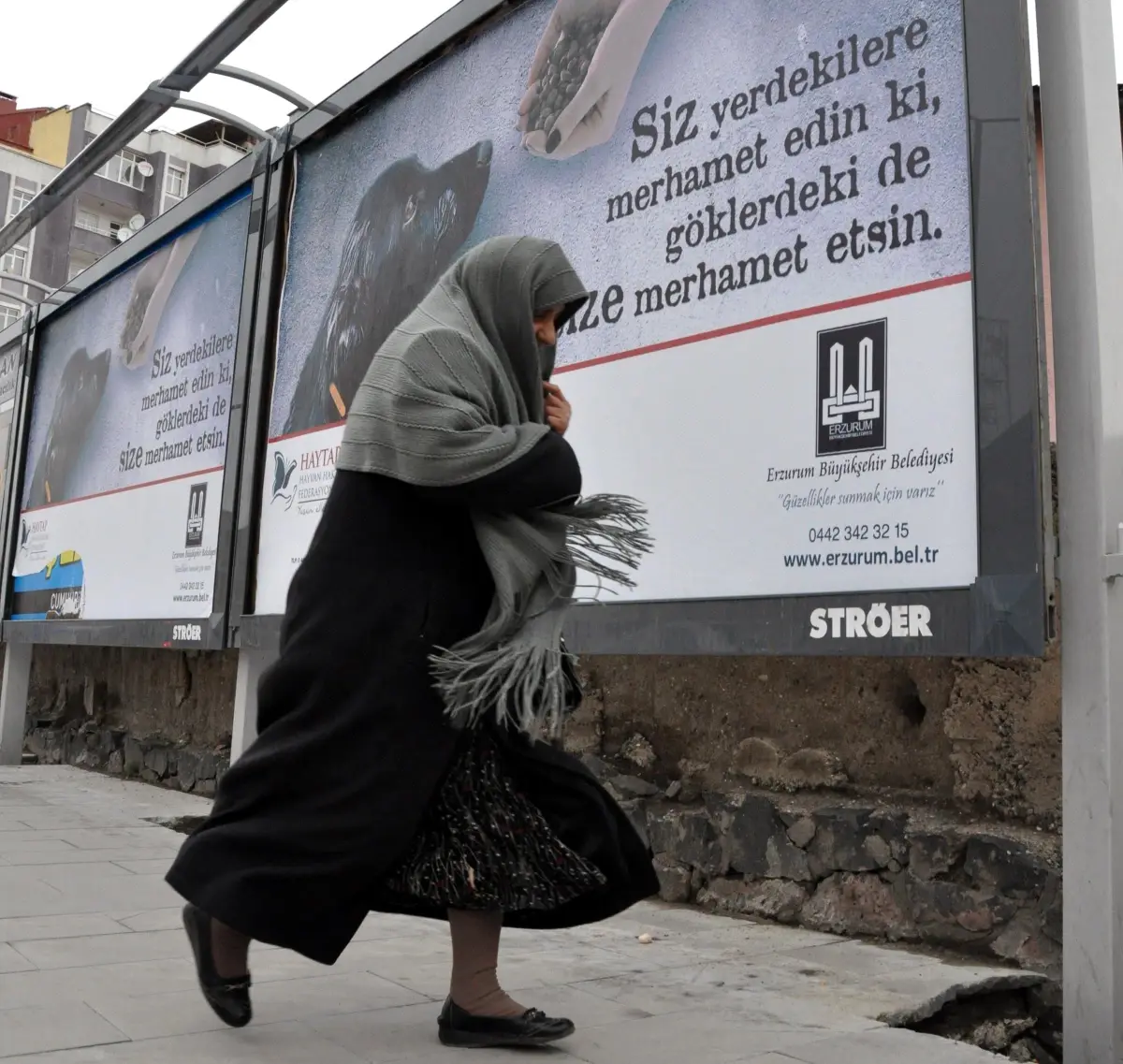 Hayvan Hakları, Dini Mesajlarla Billboardlarda