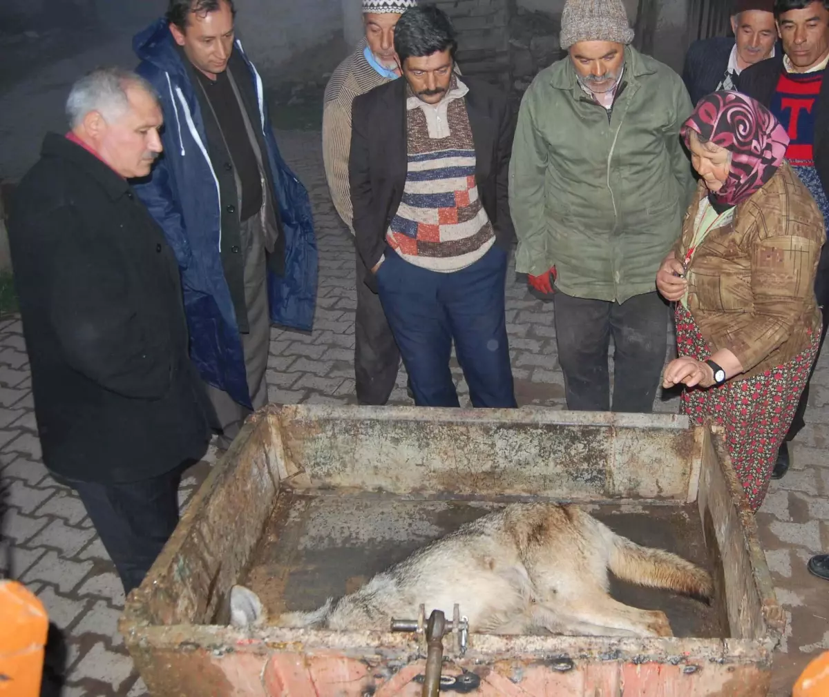 Vurulan Kurdun Leşi Bulundu