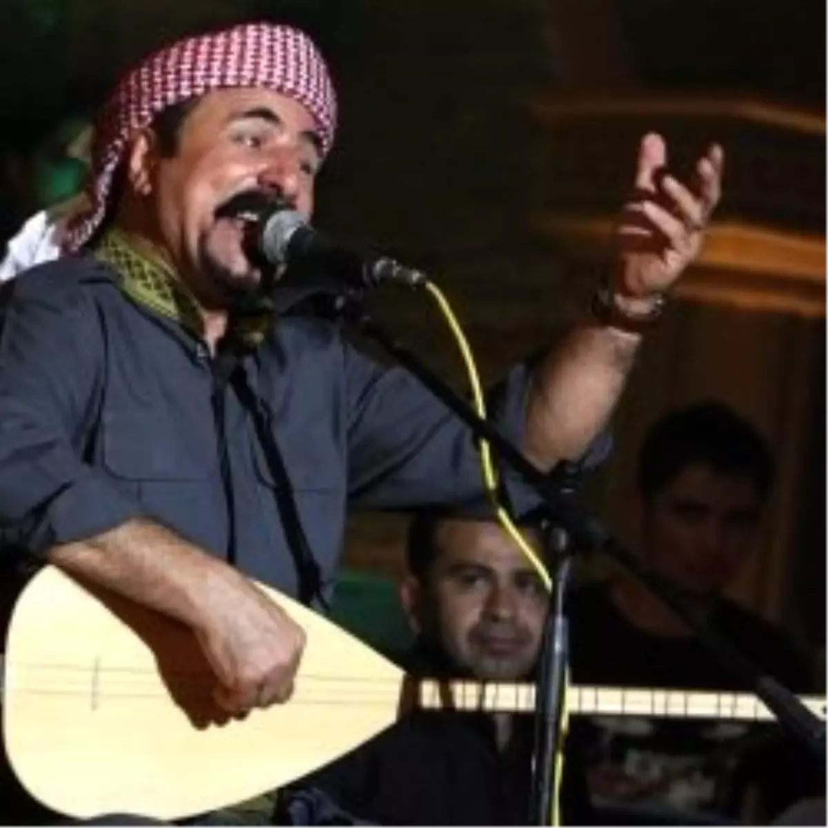 Şivan Perver\'den Veto Açıklaması
