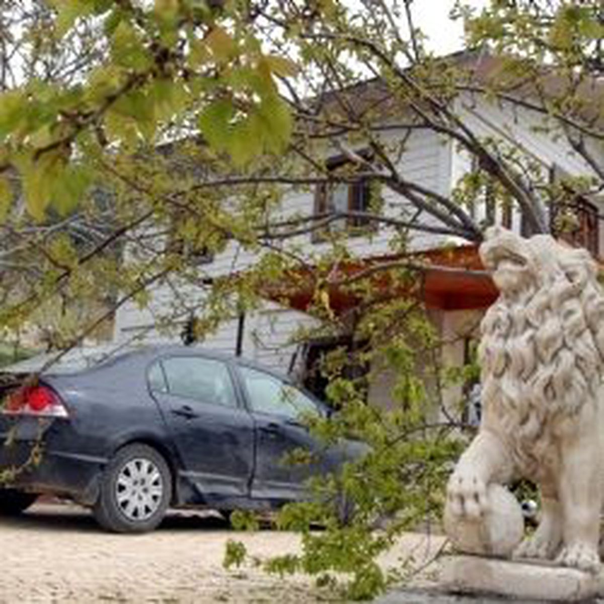 Kahramanmaraş'ta Bağ Evinde Ölü Bulunan 4 Kardeş