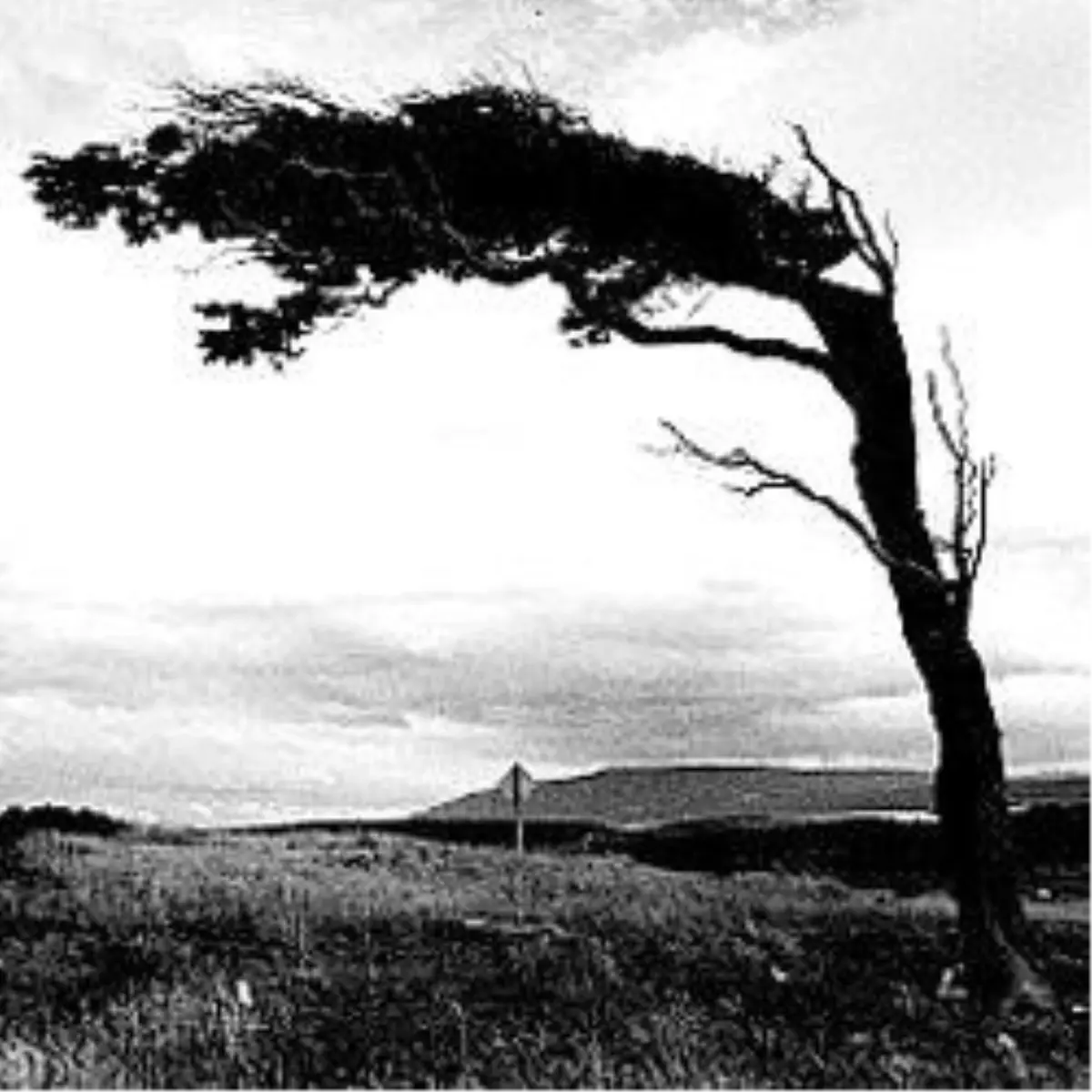 Türkiye Baharı Unuttu