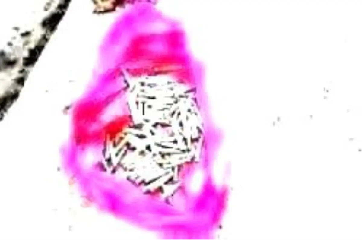 Çalınan Fünyeleri Dalgıçlar Sudan Çıkardı