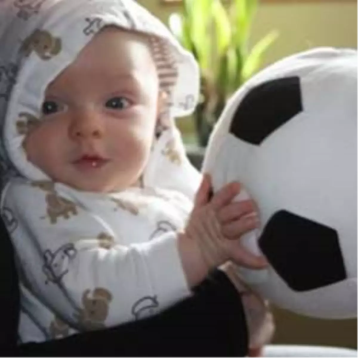 1,5 Yaşında Transfer Oldu
