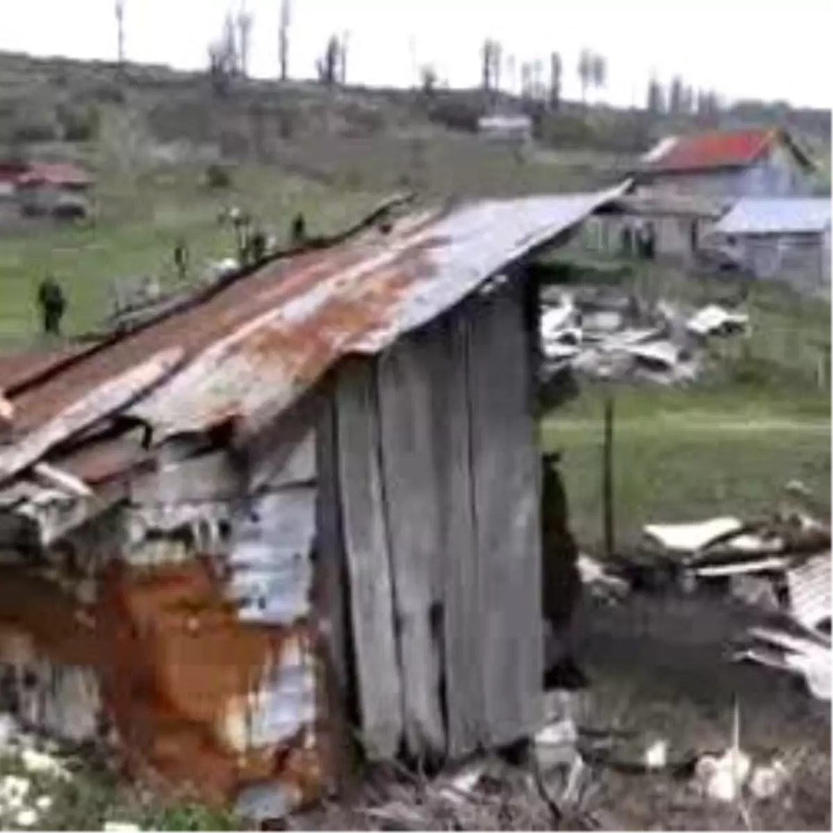 22 Yayla Evi, 3 Ahır Kundaklanarak Yakıldı