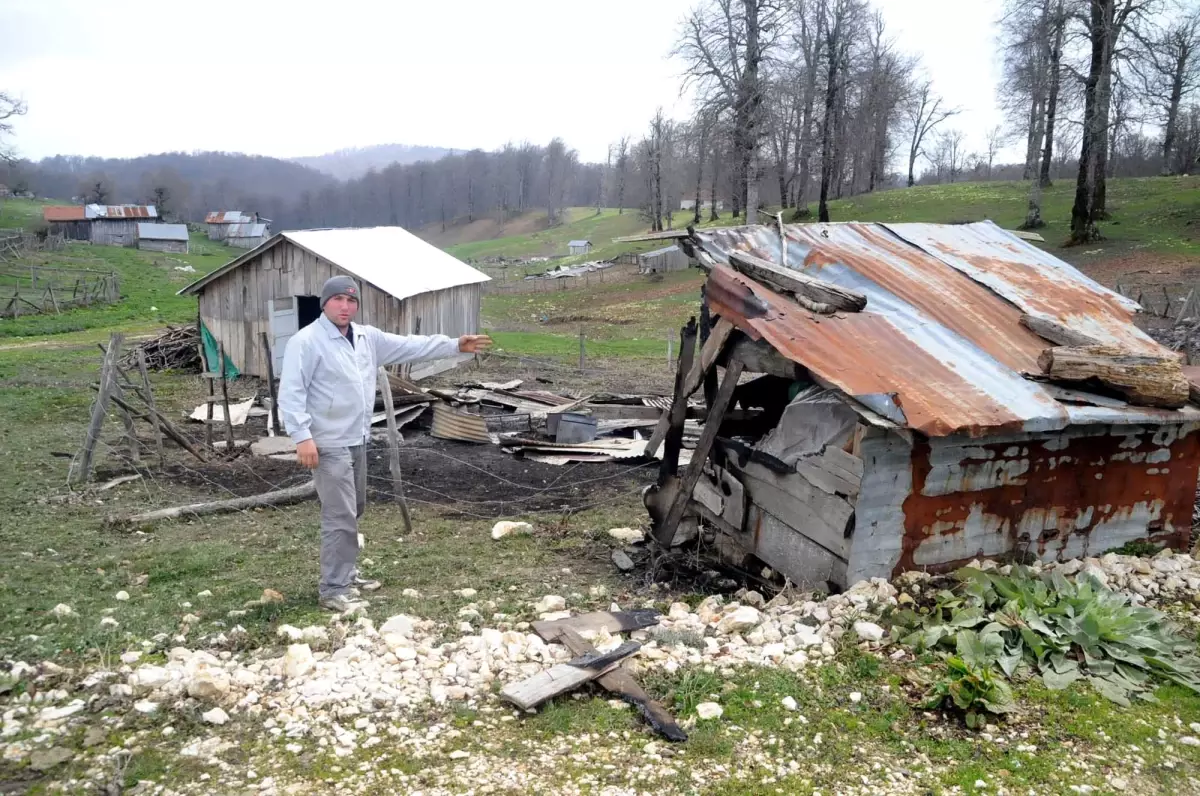 22 Yayla Evi 3 Ahır Kundaklandı