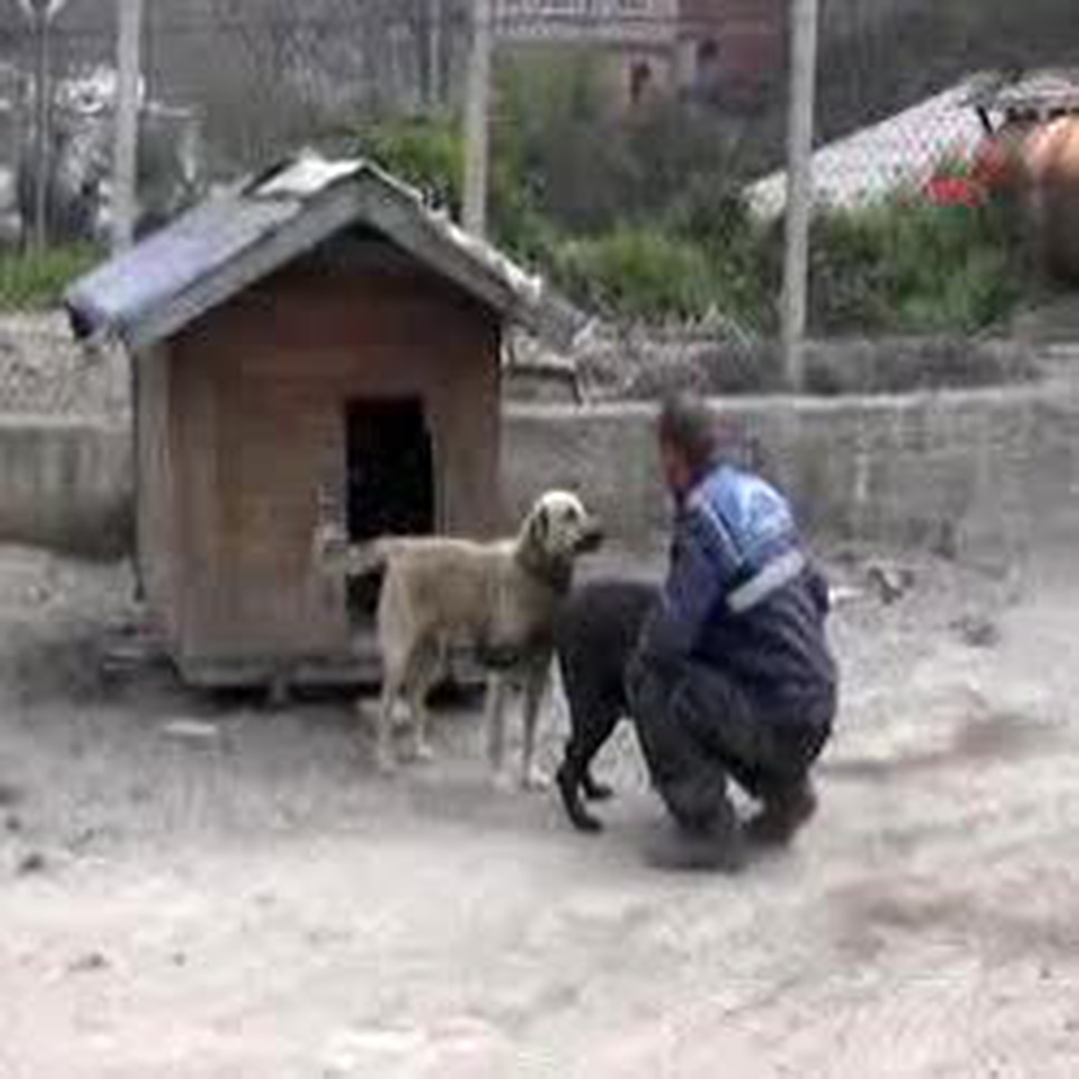 Belediyenin İnşaat Sahasını 'panço' ve 'rambo' Koruyor