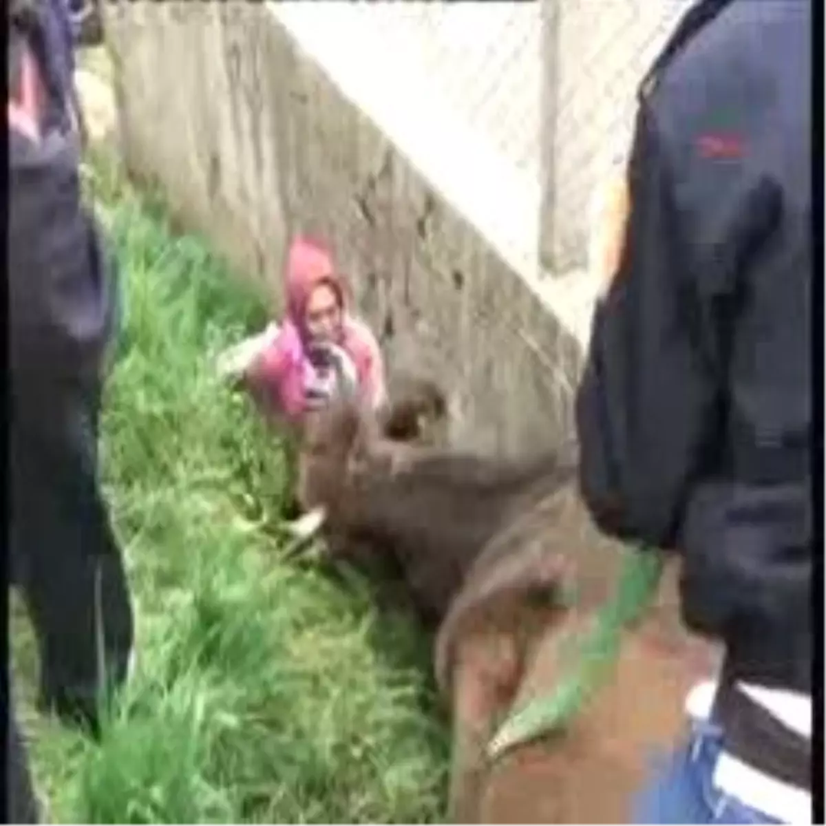 500 Kiloluk \'Keklik"i İtfaiye Kurtardı