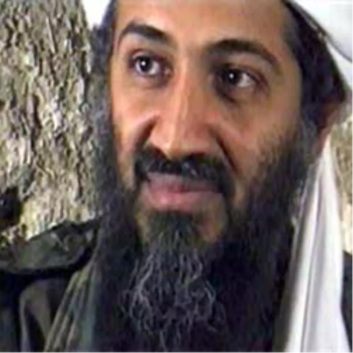 Usame Bin Ladin Kimdir?