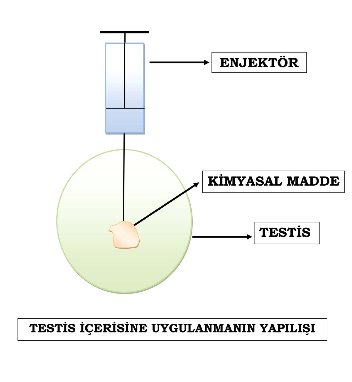 Türkiye’de Ve Dünyada İlk Kez Uygulanan Bir Yöntem Geliştirildi