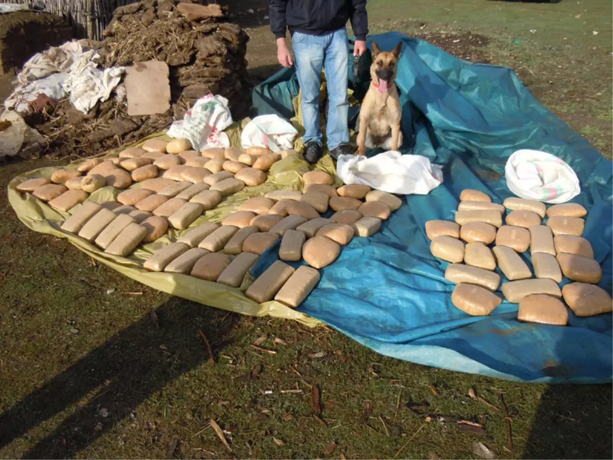 Tezek Yığınları Arasında 104 Kilo Esrar