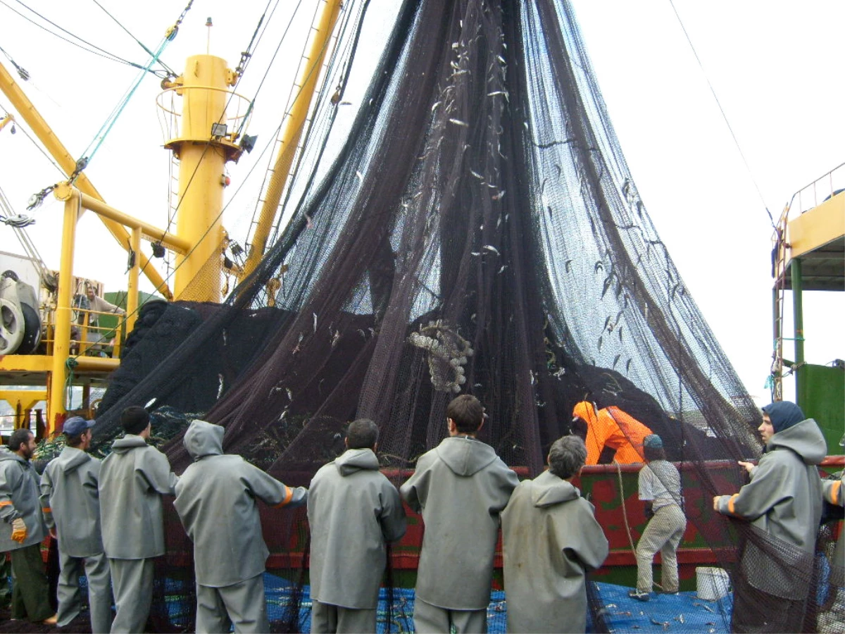 Türkiye’de 130 Bin Kişiye İstihdam Sağlayan Balıkçılık Camiası Yok Sayılıyor