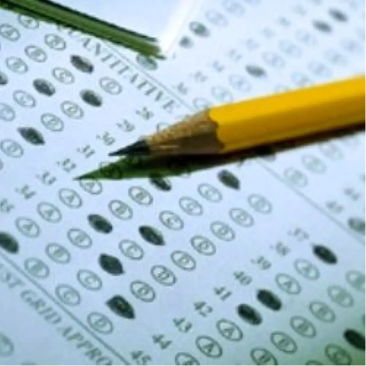 "YGS Koordinatörü Gerekli Denetimi Yapmamış"