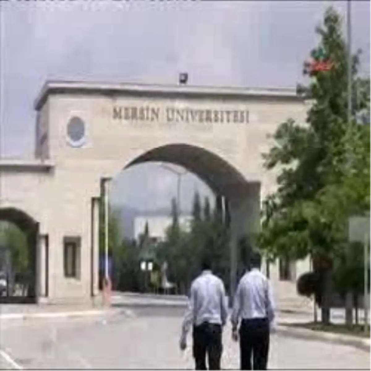 Yumurtadan Ceza Alan Öğrenciler Hak Arıyor Yumurtadan Ceza Alan Öğrenciler Hak Arıyor