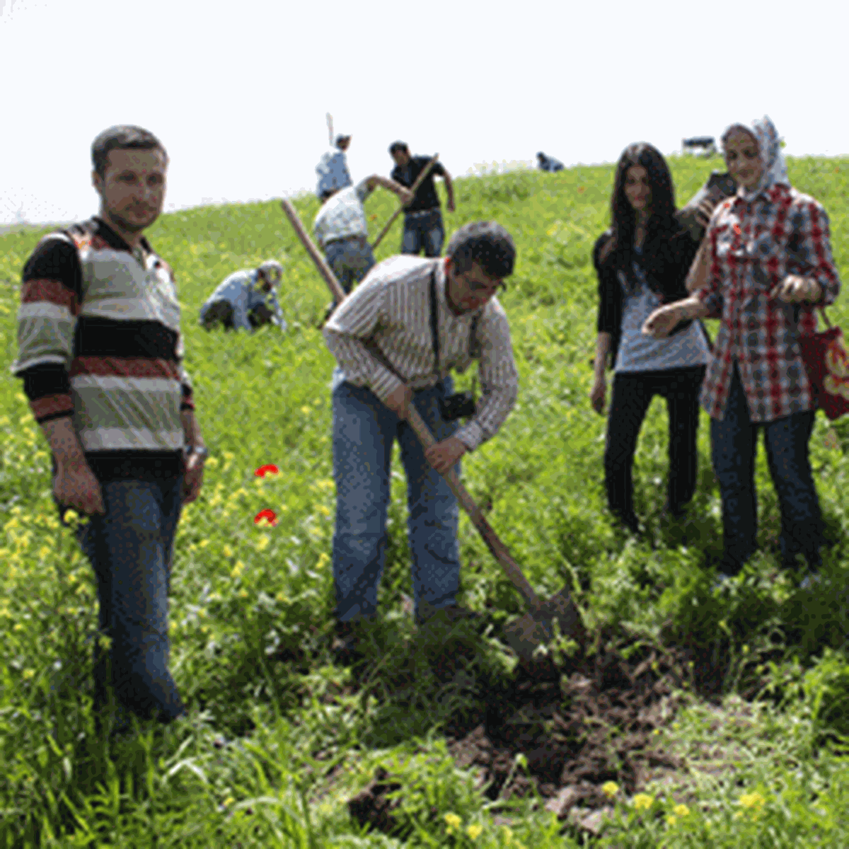 Siirt Üniversitesi Yeni Kampüs Alanında Ağaç Dikim Çalışması Yapıldı