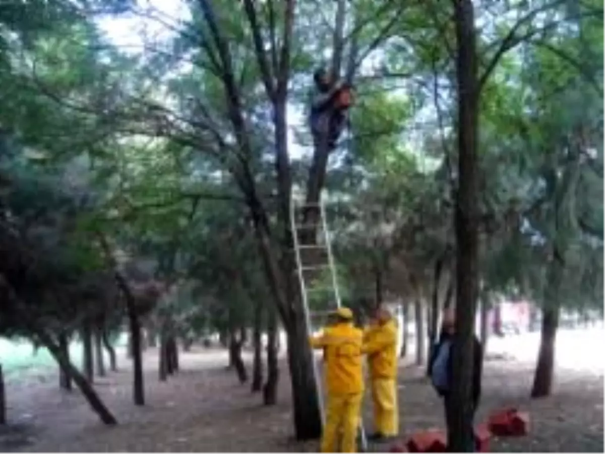 Gaziantep Orman İşletme Şefliğinin Basın Açıklamasıdır