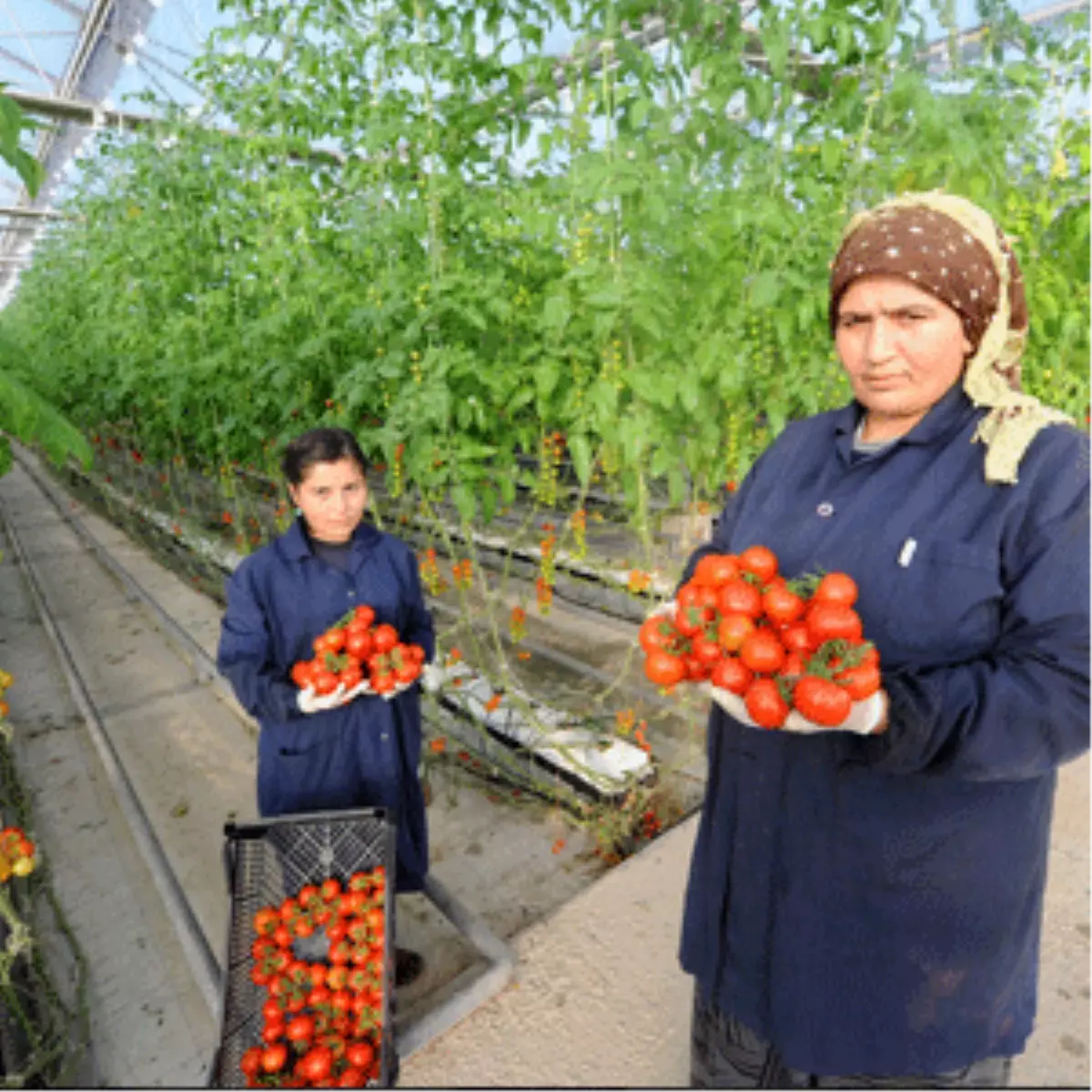 Mamak Çöplüğü Türkiye’ye Örnek Oldu