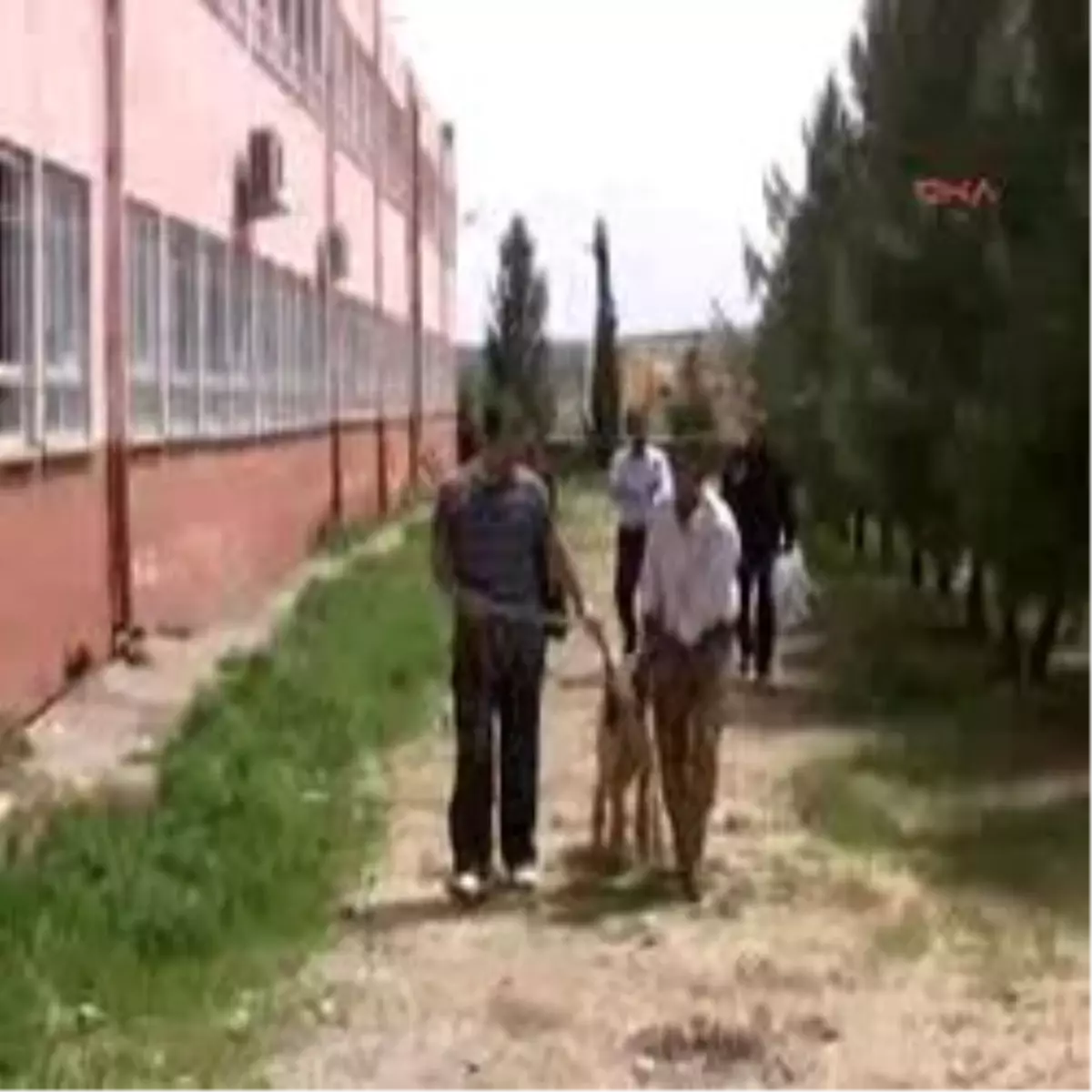 Öğrenci Velileri ve Öğretmenler, Okulda Kurban Kesti