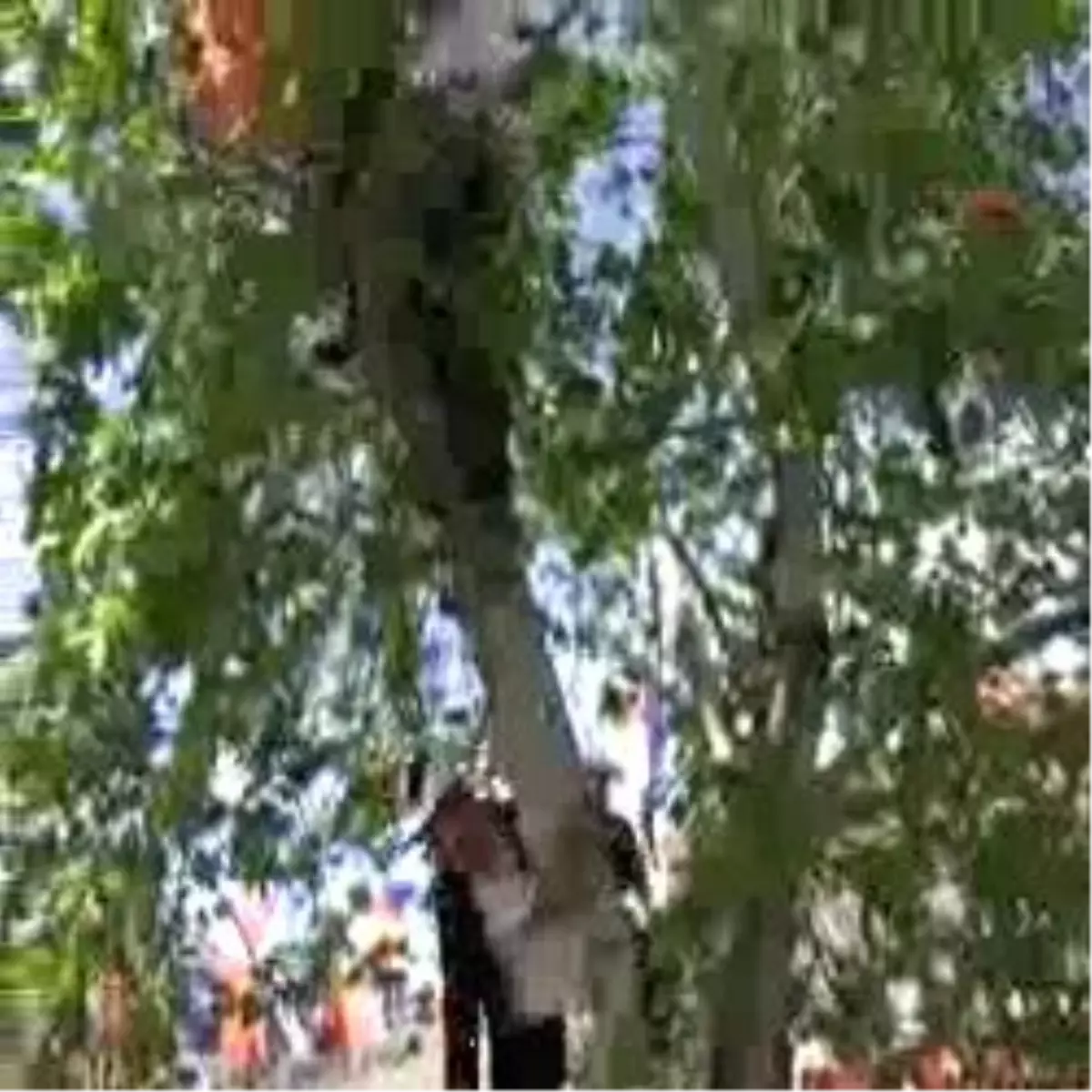 "Hesap Uzmanı Olarak Başlamış, Yalan Uzmanı Olup Çıkmış"