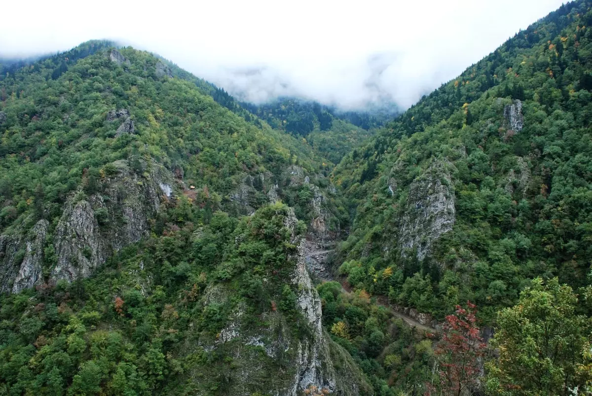 Tema Vakfı\'ndan Kaçkarlar İçin Kampanya