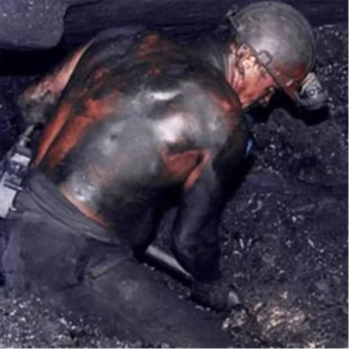 Türkiye'yi Şok Eden Rapor!