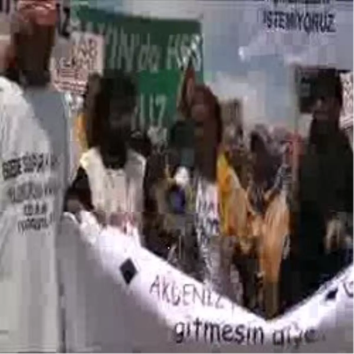 Çevreci Kervancılar Çadır Kurdu