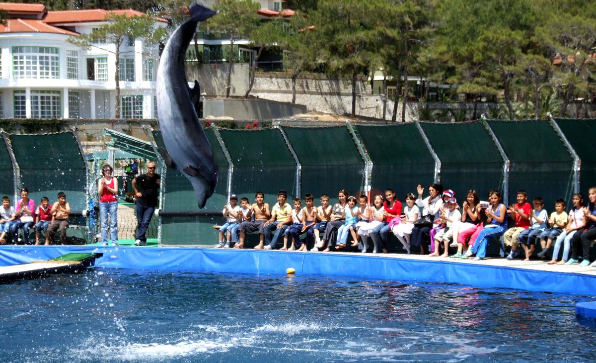 Öğrencilerine Yunus Gösterisi