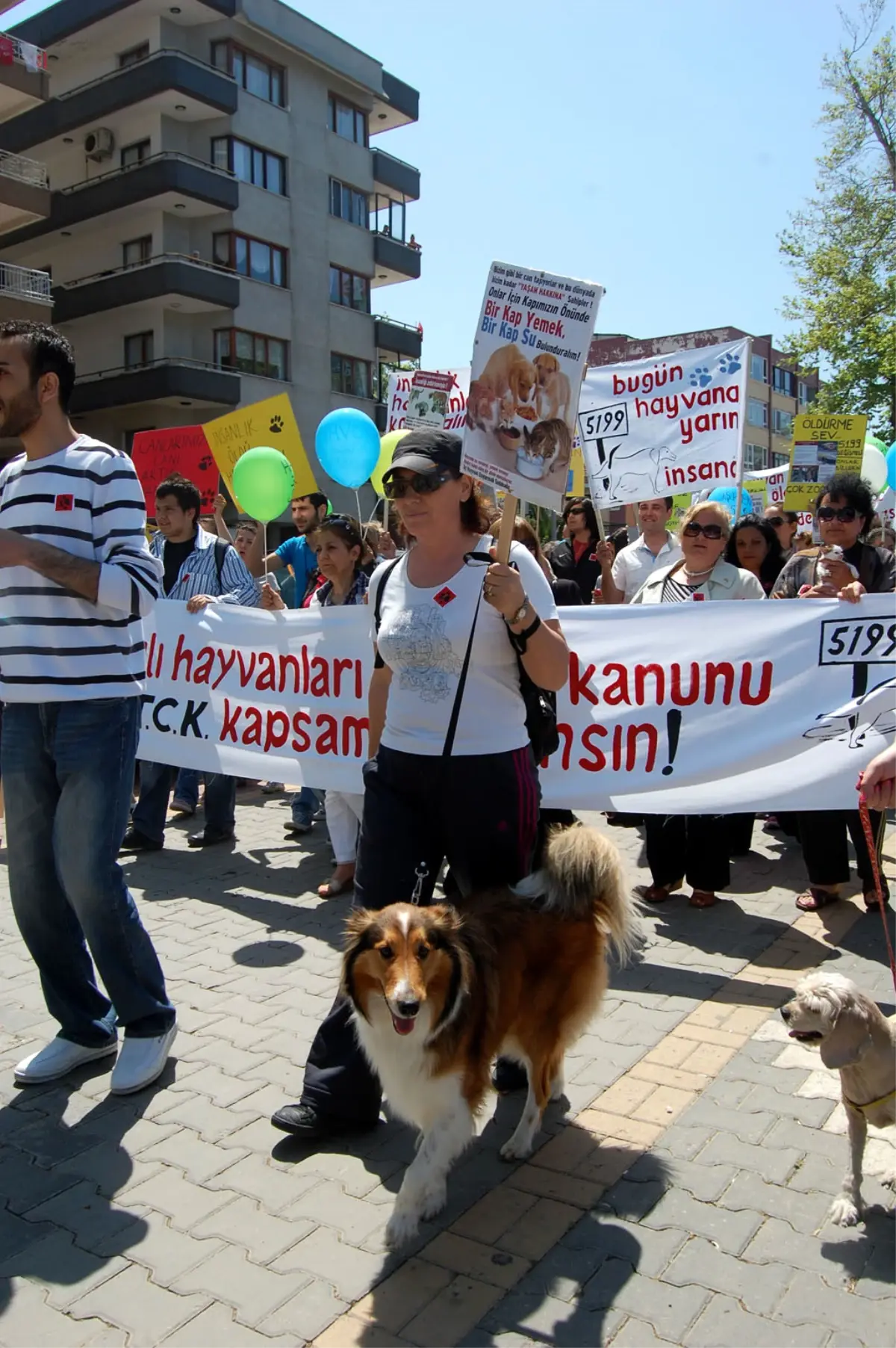 Yalovalı Hayvanseverler Cezaların Ağırlaştırılması İçin Yürüdü