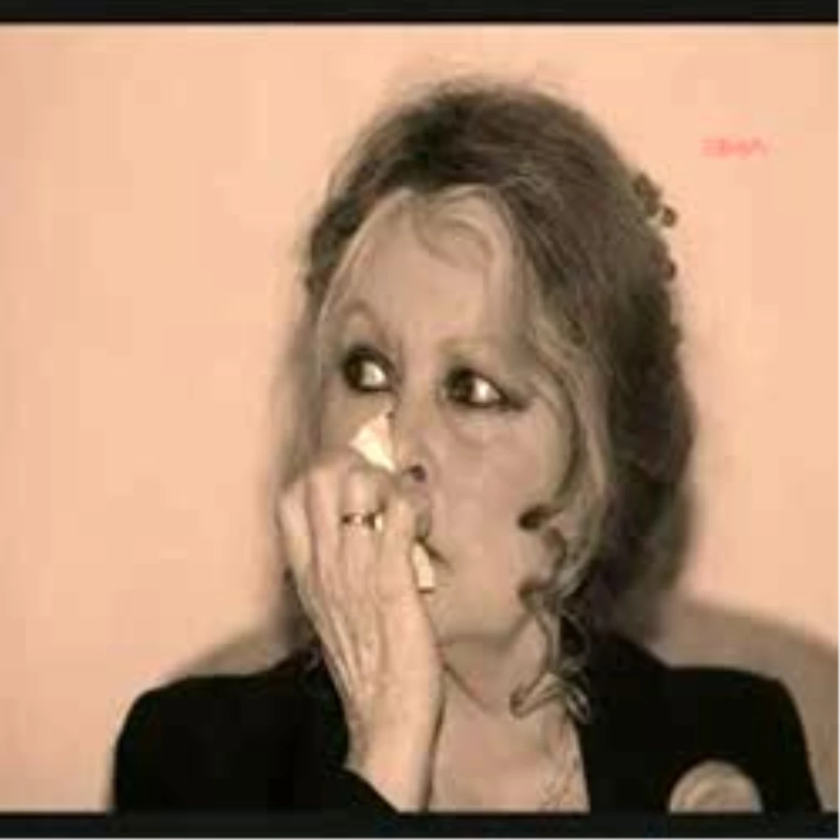 Brigitte Bardot, Priştine\'deki Köpek İtlafının Durdurulmasını İstedi