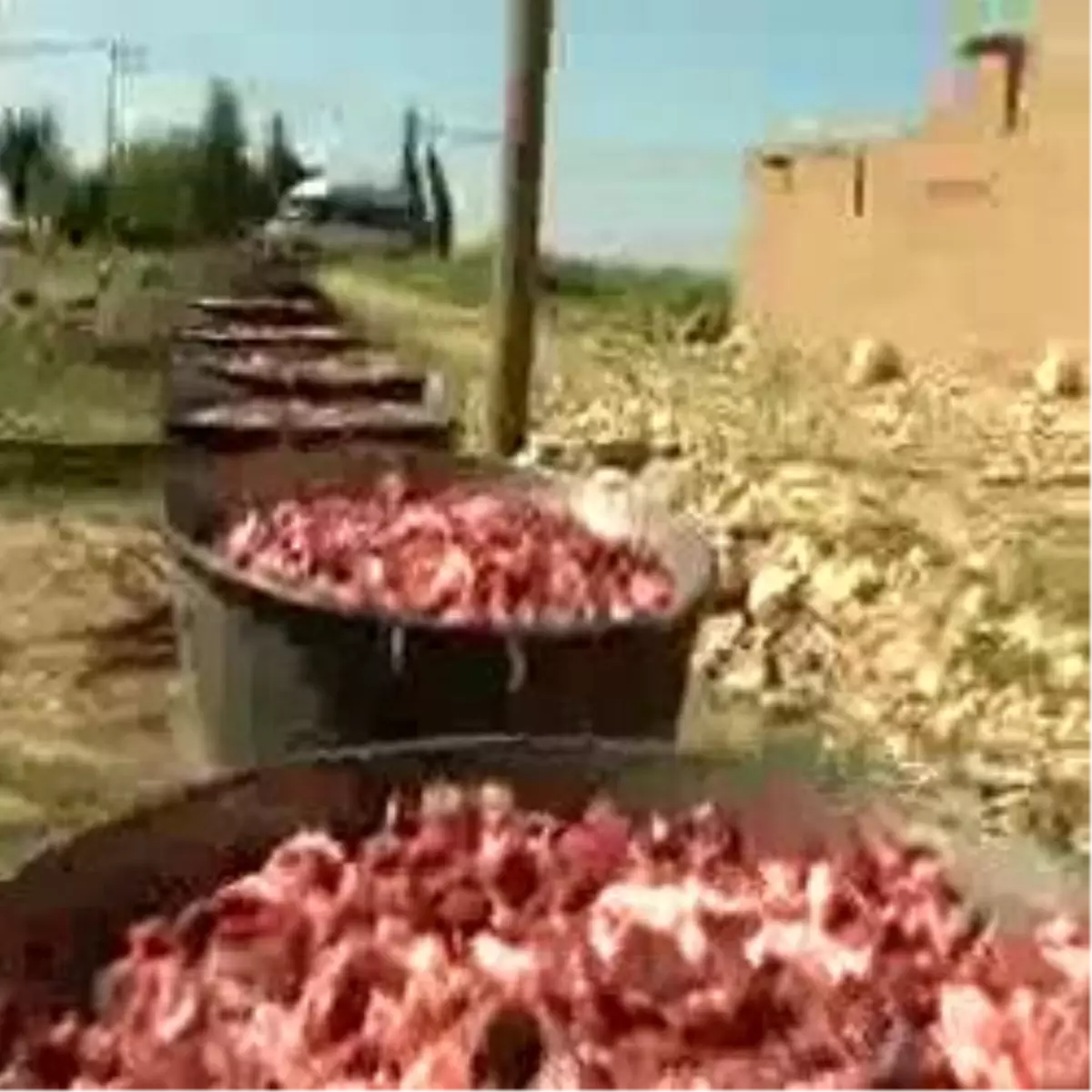 Silah Yerine Havai Fişek Attılar