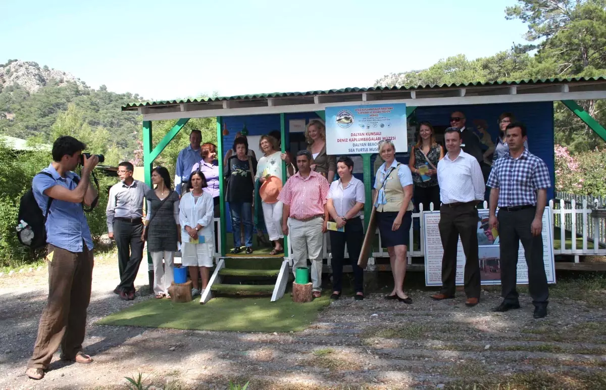 Otellerde Biriken 1 Eurolar Kaplumbağalara Gitti