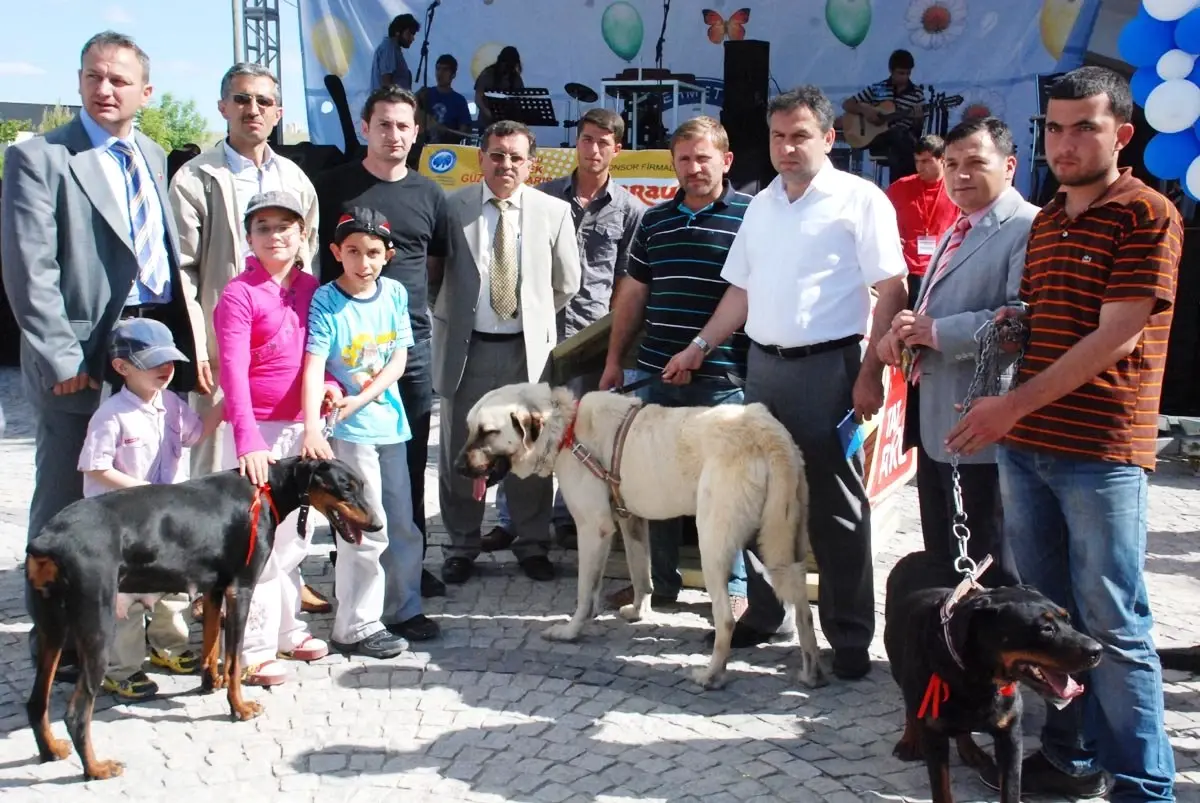 Üniversitede Köpek Güzellik Yarışması