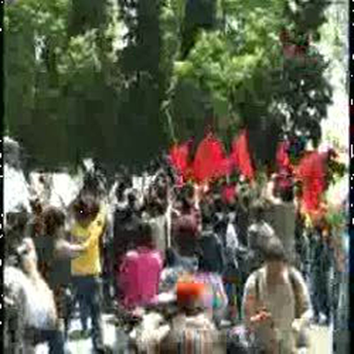 Dolmabahçe Meydan Muharebesi