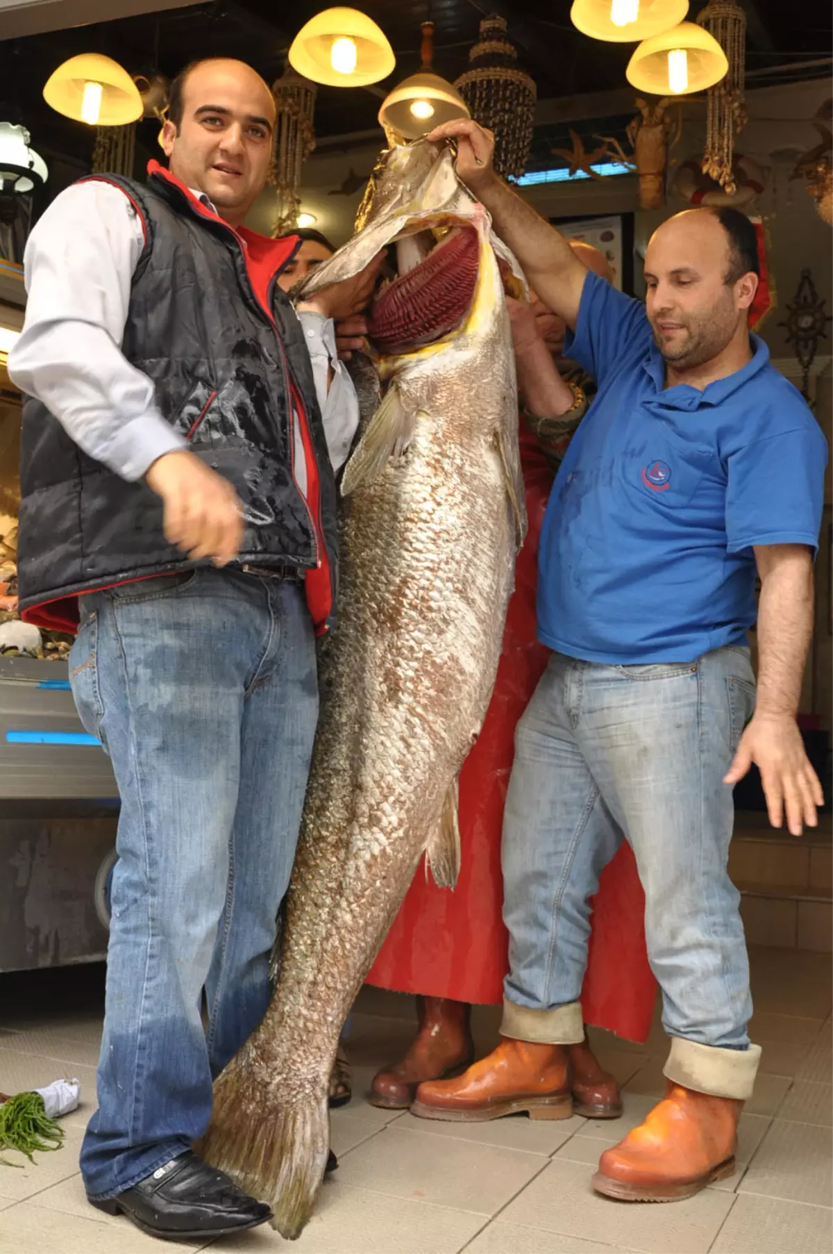 74 Kiloluk Minekop Görenleri Şaşırttı