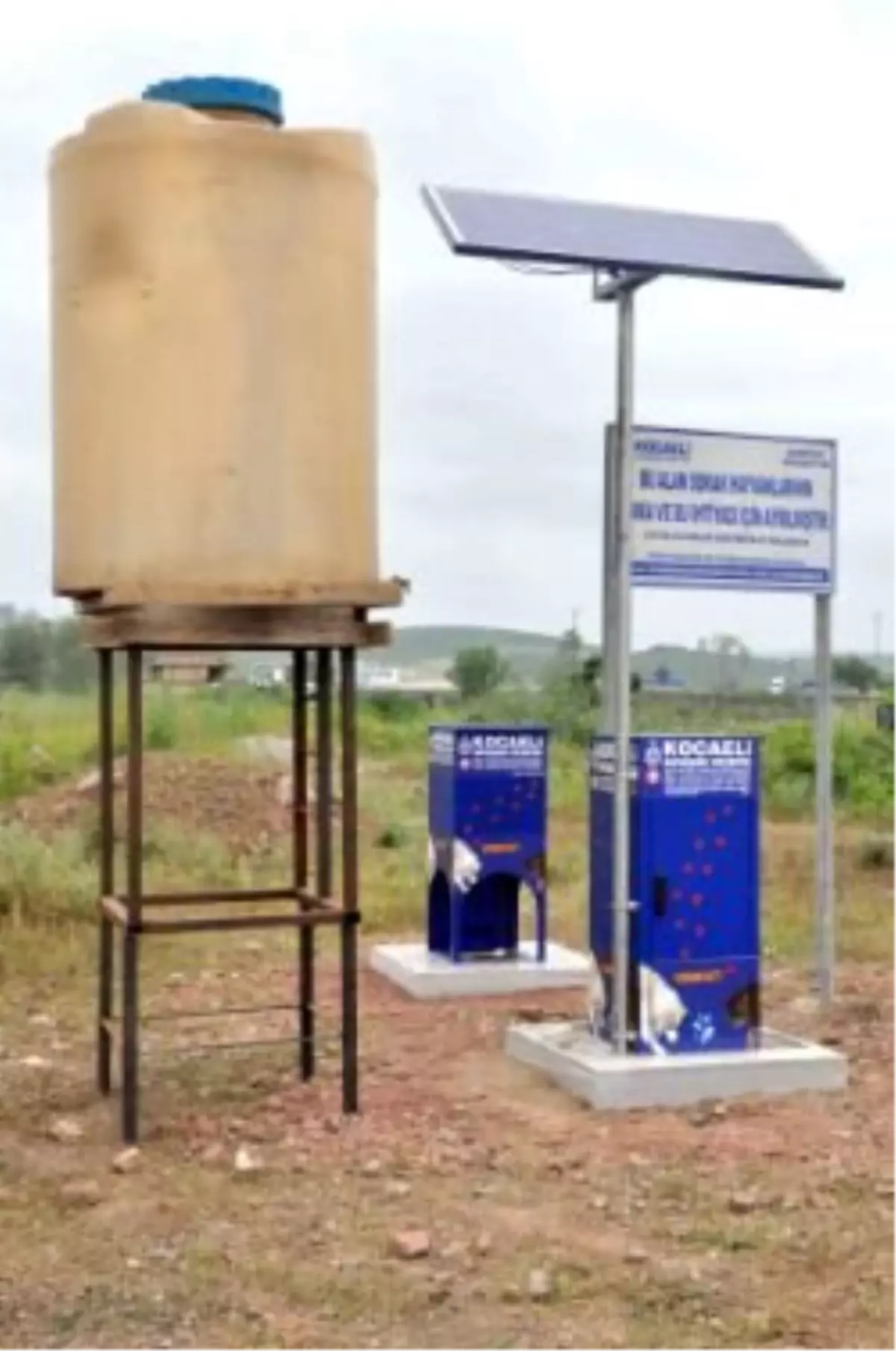 Sokak Hayvanlarına Gıda Evi